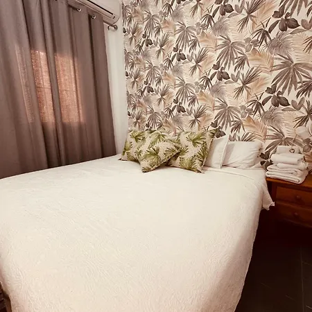 Bajondillo Cozy *